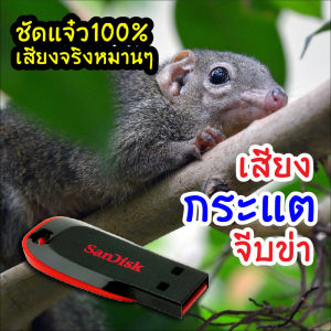 เสียงกระแตจีบข่า ต่อกระแต เมม/ แฟลชไดร์ฟเสียงต่อกระแตจีบข่า มีเก็บเงินปลายทาง เสียงจริง ชัดแจ๋ว 100% ไม่มีโฆษณาแทรก (MP3 เสียงต่อสัตว์)