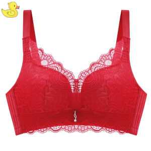 Women Bra Wireless Lace Plus Size Push Up Baju Dalam Wanita Tanpa Wayar Renda Saiz Besar 内衣女性无钢圈加大码蕾丝