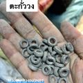 ตะกั่ววง (วงเล็ก) ขีดละ 30 บาท (100 กรัม). 
