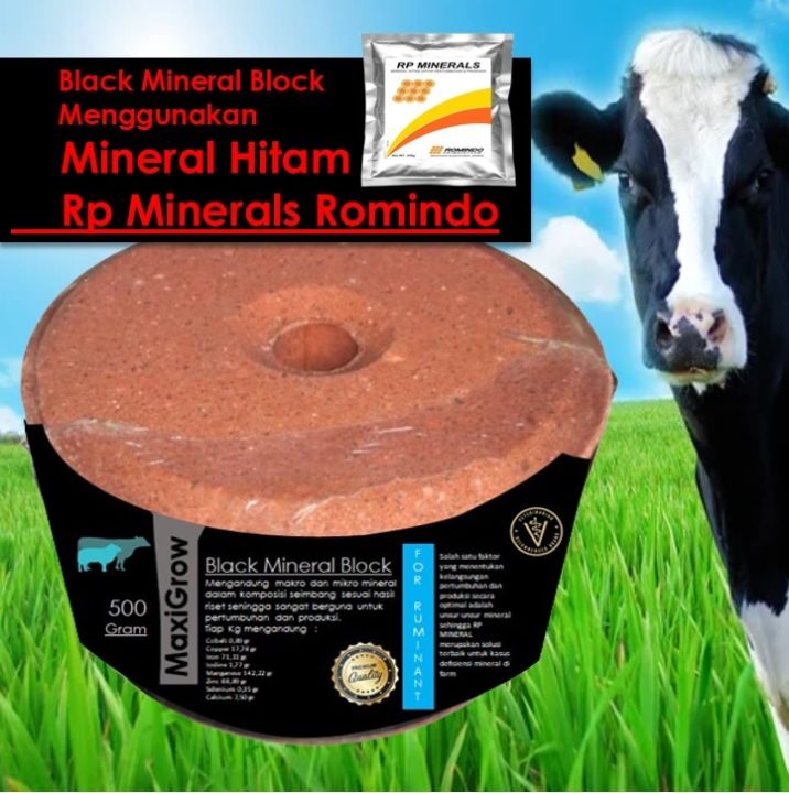 Mineral Blok 500 gr Mineral Block Kambing Mineral Block Sapi Maxigrow mineral hitam