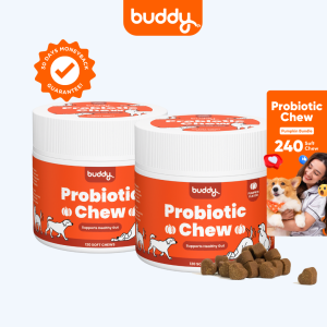 Buddy Probiotic Bites for Dogs Happy Tummy and Healthy Gut for Improved Dog Immunity - Healthy Dog Treats with Probiotics for Dog Wellness Dog Supplements and Appetite Booster for Dogs - Pumpkin Flavor Bundle