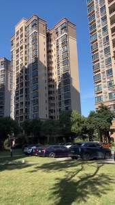 Purple Hair Claw Clips Light Lightweight Strong Hold Nonslip Matte Clips for Thick Thin & Curly Hair 90s Vintage Jaw Clips for Women & Girls (TYPE32)