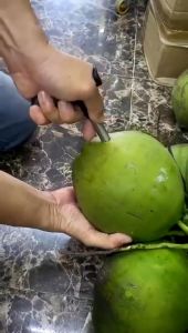 Dụng cụ khui dừa dụng cụ đục lỗ trái dừa siêu nhanh tiện lợiMáy cạo râu dừa