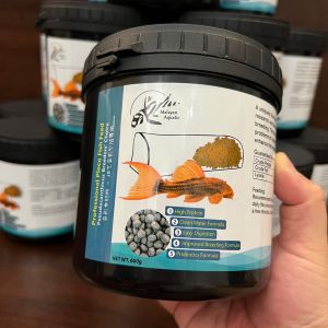 ⭐️(Ready Stock) Malayan Aquatic Professional Pleco Fish Feed Pseudacanthicus Breeders Choice 形鱼饲料 - 坦克异形繁殖专用 600gm