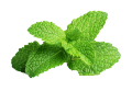 Tinh dầu bạc hà Peppermint. 