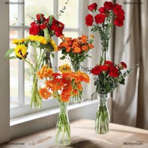 [COD] Millennium Bình hoa bằng nhựa trong suốt Bắc Âu bình hoa sắp xếp bình hoa cây thủy canh sáng tạo trang trí bàn phòng khách gia đình