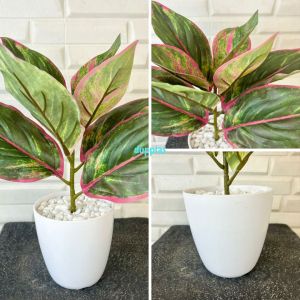 Pohon Artificial Tanaman Hias Aglonema Lipstik Hijau & Pink Latex Pot Melamine Dekorasi Rumah Dekorasi Meja Kantor