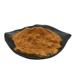 Saposhnikovia Extract various specifications available upon inquiry food grade raw material water-soluble plant extract powder ready stock free shipping for 1kg