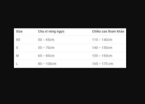 Đai Chống Gù Lưng Bonbone PITA-SAPO Posture Nhật Bản