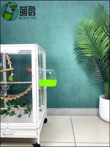 Birdcage DisplayCage Bird Cage For Parrot Cage Cute Cross-Line Transparent Acrylic Splash-Proof Birdcage DisplayCage