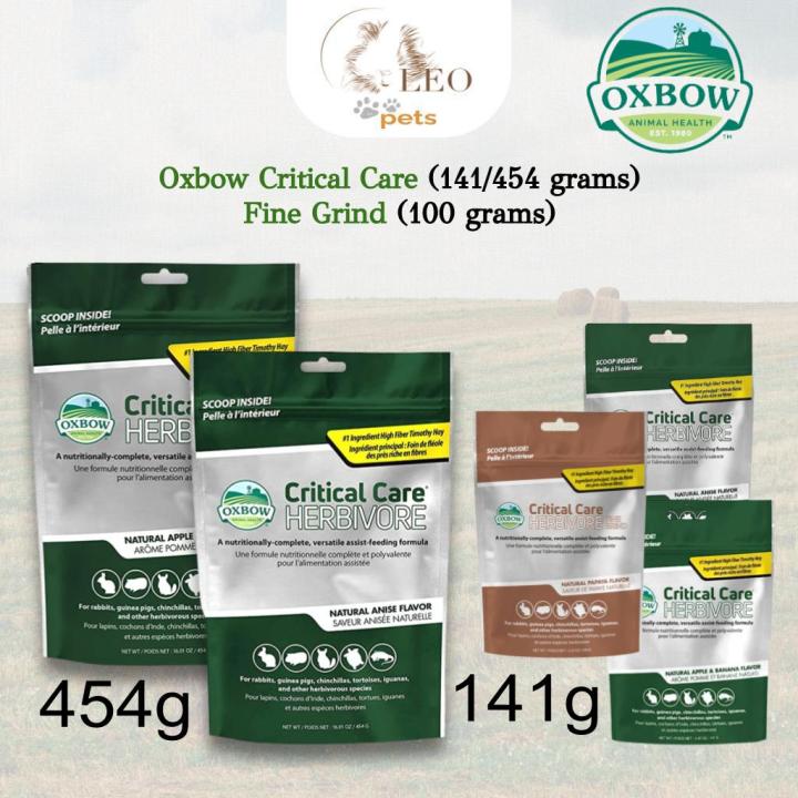 Oxbow Critical Care Pflanzenfresser | 141g Anis Geschmack | Für Kranke Kaninchen & Meerschweinchen