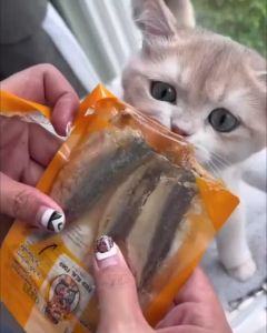 ปลาทูนึ่งก้างนิ่ม อาหารหมา อาหารแมว อาหารเปียก ขนมหมา ขนมแมว Feed Real Food