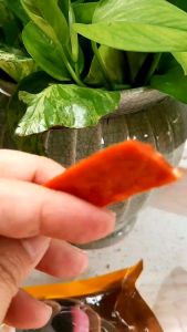 ขนมสุนัข มันชีแบนนิ่ม นน.500 กรัม