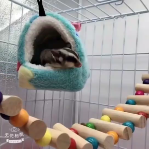 ที่นอนที่แกว่งได้สำหรับนกแก้วหนูชินชิล่าเต็นท์กรงสัตว์เลี้ยงขนาดเล็กเปลหนูแฮมสเตอร์นุ่มอบอุ่น