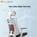 Ghế công thái học Ergonomic Sihoo M93C. 