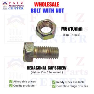 10pcs BH. 6x10mm (#10 sa yabe /tools)GOLD PLATED HEX BOLT WITH NUT (Tetanized Zinc Plated)