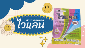 อะซีทามิพริด ( ACETAMIPRID ) ไวแลน ขนาด 100 กรัม สารกำจัดเพลี้ย ทุกชนิด