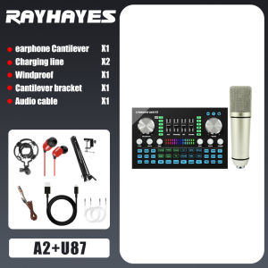 RAYHAYES Bluetooth Sound Card Mixer with Condenser Microphone Set for Gaming Recording Live Streaming
