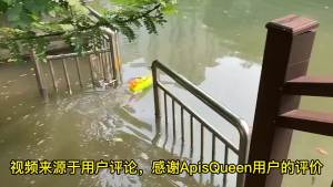 7.4V 2S Brushed Waterproof Underwater Propulsion Thruster Motor CWCCW for DIY Nesting Trawlers Unmanned Ship RC Duck Boat