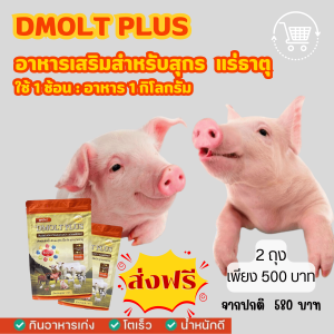 อาหารวัว DMOLT PLUS  ดีมอลต์ พลัส เอนไซม์และแร่ธาตุเพื่อการเจริญเติบโต ปลอดภัย ได้มาตรฐาน GMP  HACCP FAMI-QS