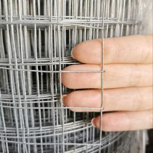 [ทนสนิม]ยกม้วน30m ลวดตาข่ายกรงไก่ชุบร้อน ช่องตา 1/4"-2" ลวดตะแกรงกรงไก่ชุบกัลวาไนซ์ ลวดตาข่ายกรงนก ลวดตาข่ายสี่เหลี่ยม ล้อมไก่ ลวดปูพื้น กันงู/กันหนู ราคาโรงงาน ทนทาน ใช้งานได้ยาวนาน