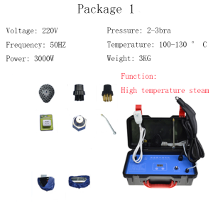 220V 3000W Steaming Cleaner High Temperature Electric Steaming Cleaning Machine High Pressure Air Conditioner Range Hood Car