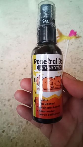Buyer review video 2