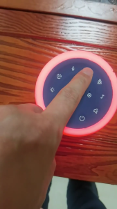 Portable Sleep Assist Device for Baby Build-in 24 Soothing Sound Creative Night Light for Cribs and Travel Outdoor