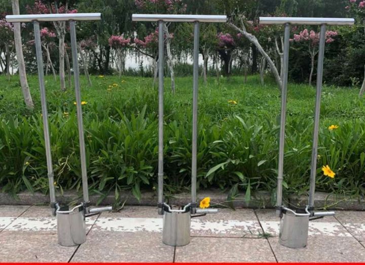 G%E1%BA%ADy%20b%E1%BB%A9ng%20c%C3%A2y%20ti%E1%BB%87n%20%C3%ADch%20-%20Image%202