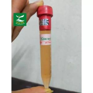Hỗ Trợ Mầm Và Chồi Phong Lan Keiki Duy Đỏ