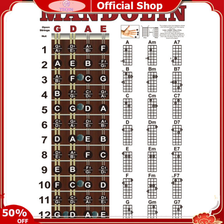 11x17 Mandolin Fretboard Notes Poster Beginner Mandolin Fretboard Notes ...