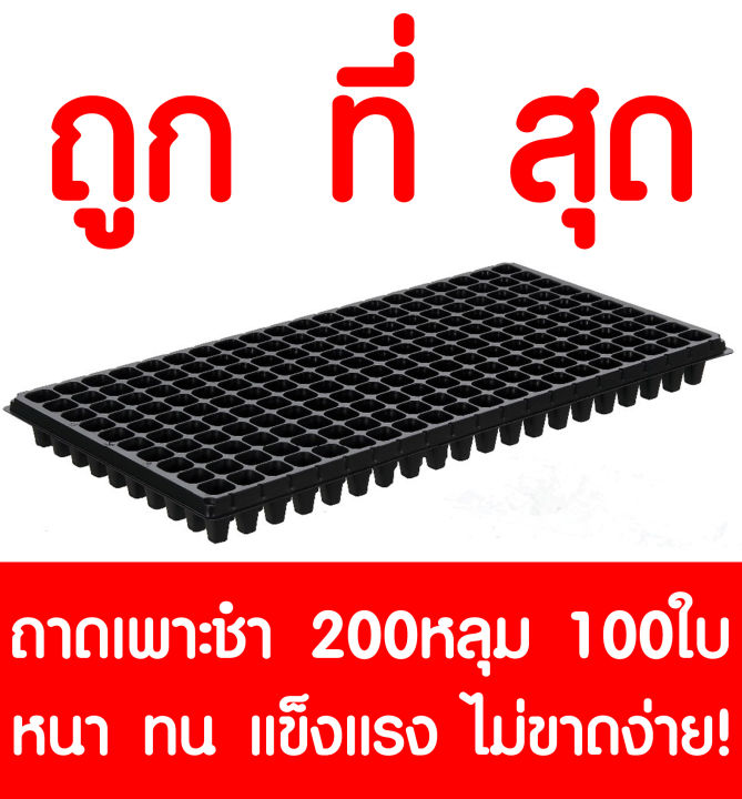 ถาดเพาะกล้า 200หลุม 100แผ่น สำหรับเพาะปลูกขนาดใหญ่