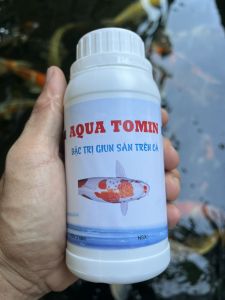 AQUA TOMIN Trị giun sáng trên cá