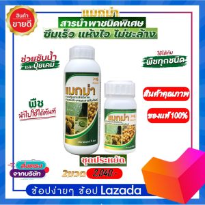 แมกม่า- Maxma(ชุดแพ็คคู่) 2 ขวด ขวดลิตร & 250ซีซี. สารจับใบเกรดพรีเมี่ยม ช่วยดูดซึมอย่างรวดเร็วให้กับปุ๋ย ยาฆ่าแมลง ภายใน 1-3 วินาทีเสริมความแข็งแรงให้กับพืช