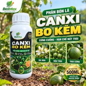 Phân bón vi lượng Siêu Canxi Bo Kẽm 500ml làm dai cuống chống rụng hoa rụng trái thối trái cứng cây xanh lá quả đẹp ra hoa nhiều và tập trung