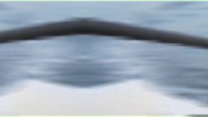 OROOTL Double Hook Rig Saltwater Trolling Hooks: 3pcs Double Hook Rigs for Trolling and Chunking Big Game Stainless Steel Double Trolling Hooks for Marlin Shark Tuna Wahoo Dorado Fishing