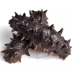 Dried Sea Cucumber tant