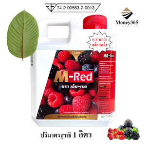 ส่งฟรี !! แพ็ค แกลลอน 1 ลิตร !! M- Red (เอ็ม-เรด) น้ำหวานกลิ่นผลไม้รวมเข้มข้น บรรจุ 1 ลิตร ผสมท่อมได้