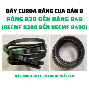 Dây curoa răng cưa bản B: B30 B31 B32 B33 B34 B35 B36 B37 B38 B39 B40 B41 B42 B43 B44 B45 B46 B47 B48 B49