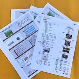 Cetak Dokumen | Cetak Kertas HVS