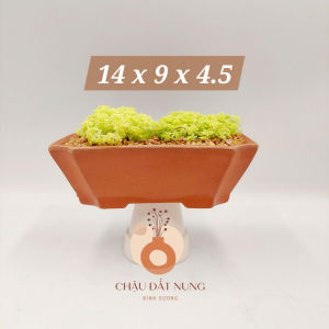 Chậu đất nung chậu sen đá - Chữ nhật 149545 miệng chậu 14cm và 9.5cm chiều cao 4.5cm