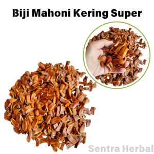 PROMO 1kg Biji Mahoni Kering Super Stock Baru