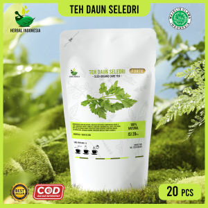 AMPUH OBATI HIPERTENSI KAMBUHAN Teh Herbal Celup Daun Seledri Turunkan Tekanan Darah Kadar Kolesterol dan Mencegah Penyakit Kanker