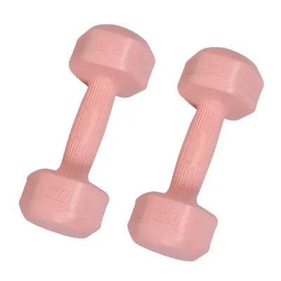FITNET Deita Female Gym Dumbbell in Pairs 1-3kg Weight Training