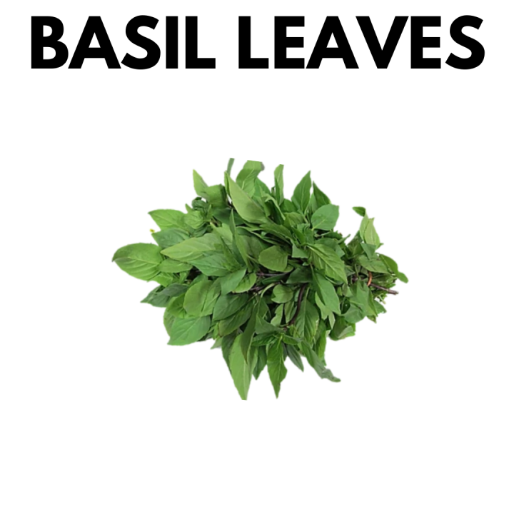 Basil Leaves Daun Selasih 50g FreshVegetables Klang