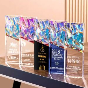 LZD  New High-End Crystal Trophy Medal Resin Creative Colorful Company Awards Staff Comition Honor Annual Meeting Enterprise
