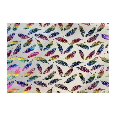 CGS Hotstamp Wrapping Paper (Colourful Feather) (5 PCS)
