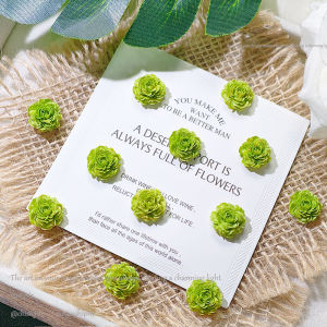 DIY Hoa mẫu đơn nhiều màu sắc(12.6mm)không lỗ làm từ acrylic tự làm bằng hạt cườm phụ kiện trang sức bán sỉ A1101