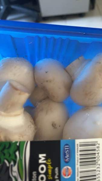 Buyer review video 3