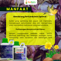 Pupuk Pestisida Topfarm / Pupuk Khusus Ubi Talas / Pupuk Umbi Talas Pelebat Buah / Pupuk Buah Super Lebat Talas / Obat Ubi Talas Anti Busuk Buah / Obat Hama Untuk Tanaman Talas / Pupuk Pembesar Ubi Talas. 